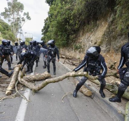 (Multimedia) Seguridad en Ecuador se está recuperando "paso a paso", afirma presidente 2 52 4