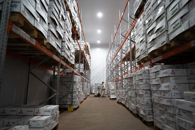 (Multimedia) Especial: Provincia argentina de La Pampa participa en la CIIE con su carne bovina como emblema de identidad productiva 1 9 4 2