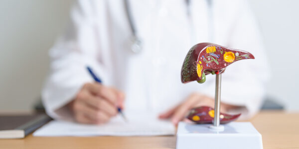 doctor with human liver anatomy model liver cance 2025 03 06 05 12 29 utc