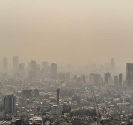 60422877 2285026848426425 4425903900914089984 n 1