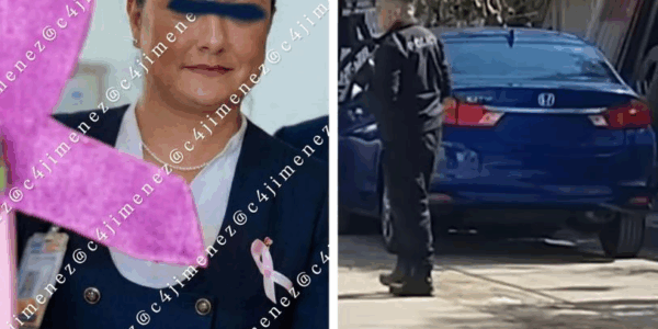 3c18acfc 883a 4a5e 8627 ab84b466f63c