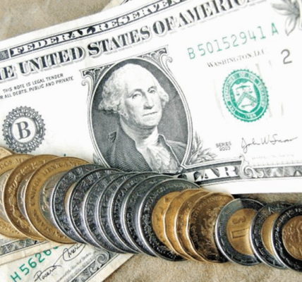 983631dd 5889 45b2 aadb 9573f2c3c4b9 1