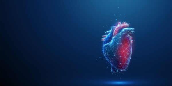 Cardio-oncología: proteger el corazón mientras se combate el cáncer 13 mail scaled