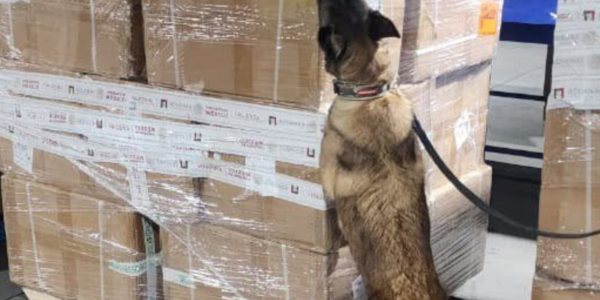 Alerta en el AICM: Aseguran cargamento millonario de cigarrillos pirata procedentes de Tailandia 14 2026 08 13t134005 350 13 1000x428