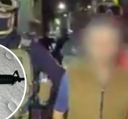 Cateos en Coyoacán dejan siete detenidos y 651 dosis de droga aseguradas 1 2026 08 13t161440 511 13 1000x428