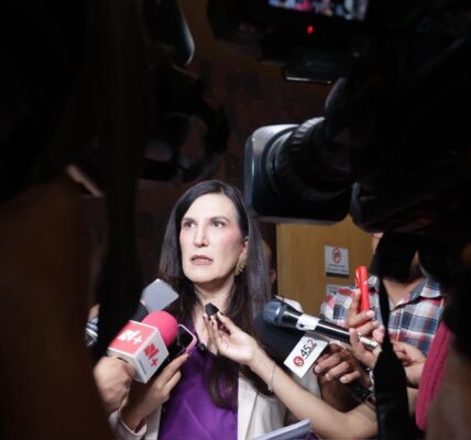 Es lamentable que la Consejera Jurídica enliste a la Presidenta de la Cámara de Diputados como enemiga del régimen 2 2026 08 14 01 43 48pm