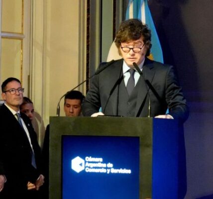 Milei culpa a la legalización del aborto y a feministas por la baja natalidad en Argentina 1 70c2adc10de6b64b73bf12bf76ad5c4ce599429c 13 1000x428
