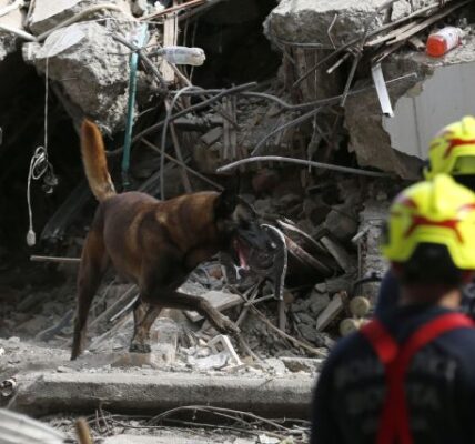 Terremoto en Colombia: Asciende a 239 la cifra oficial de muertos tras sismo de magnitud 7.4 4 84adbadf025f2e4fe5b931a587a4ff413e31ae4f 13 1000x428