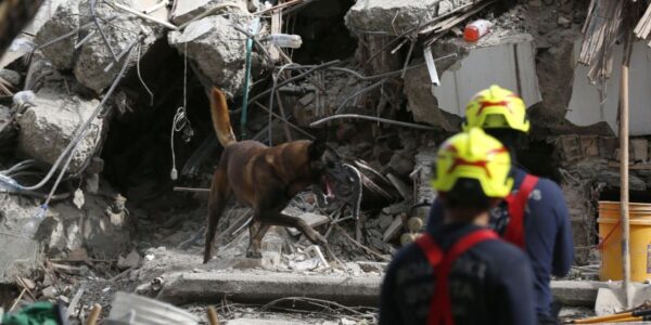 Terremoto en Colombia: Asciende a 239 la cifra oficial de muertos tras sismo de magnitud 7.4 13 84adbadf025f2e4fe5b931a587a4ff413e31ae4f 13 1000x428