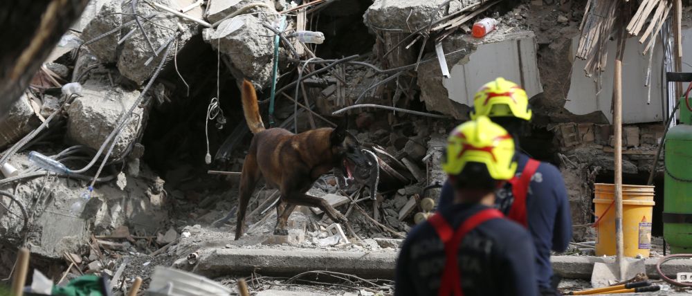 Terremoto en Colombia: Asciende a 239 la cifra oficial de muertos tras sismo de magnitud 7.4 1