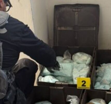 Golpe a 'Los Rusos': aseguran 120 kilos de pastillas de fentanilo en Mexicali 3 aseguran 120 kilos de pastillas de fentanilo ligadas a los rusos en mexicali sspc 13 1000x428