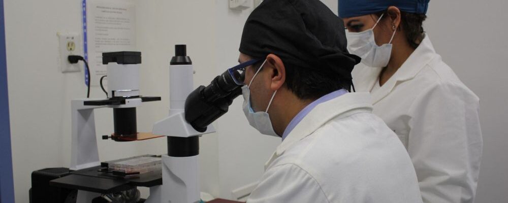 descarta cofepris presencia parasito diarrea explosiva riviera maya 13 1000x428