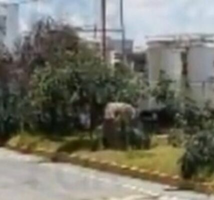 Desmantela FGR 4 centros de combustible ilegal en Hidalgo, Morelos y SLP 2 desmantela fgr cuatro centros huachicol 13 1000x428