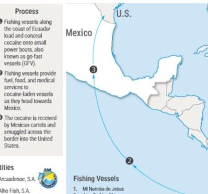 EU sanciona red de narcotráfico en Ecuador vinculada al Cártel de Sinaloa y CJNG 3 eu sanciona a 15 objetivos en ecuador ligados al cartel de sinaloa y el cjng 13 1000x428