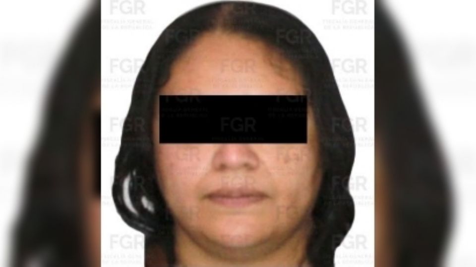 Detienen en CDMX a Guadalupe "N", apoderada legal de la empresa del exgobernador Ernesto Ruffo 1 f960x540 155333 229408 5050