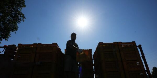 La ola de calor obliga a productores de vino espumoso en Italia a hacer vendimias tempranas y nocturnas 10 f960x540 155593 229668 5135