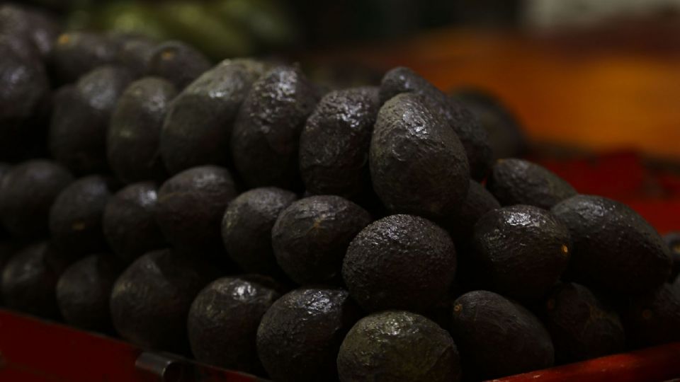 EU reabre la puerta al aguacate michoacano, pero mantiene la alerta de viaje 1 f960x540 155765 229840 5050