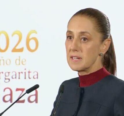 Sheinbaum: “Hay que ser valientes” ante el retiro de visa a hijo de AMLO 4 f960x540 155853 229928 6033