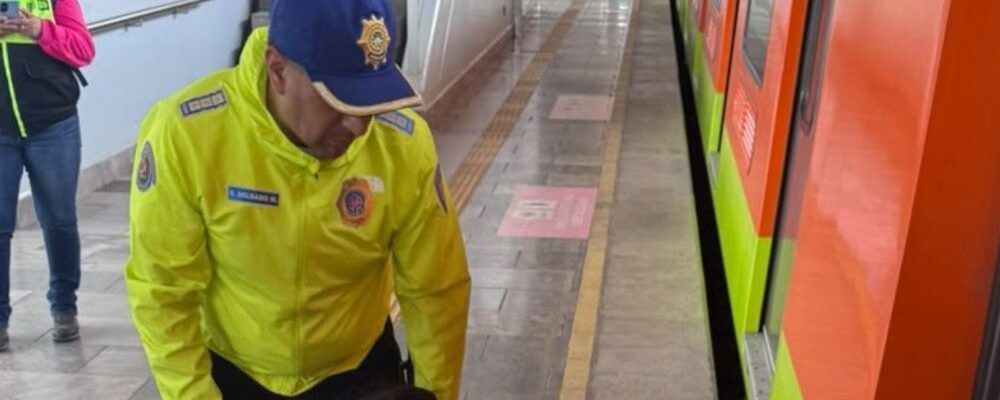 Fallece persona tras presuntamente arrojarse a las vías en la estación Tlaltenco de la Línea 12 del Metro 4 muere persona metro tlaltenco 13 1000x428