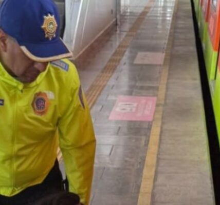 Fallece persona tras presuntamente arrojarse a las vías en la estación Tlaltenco de la Línea 12 del Metro 2 muere persona metro tlaltenco 13 1000x428