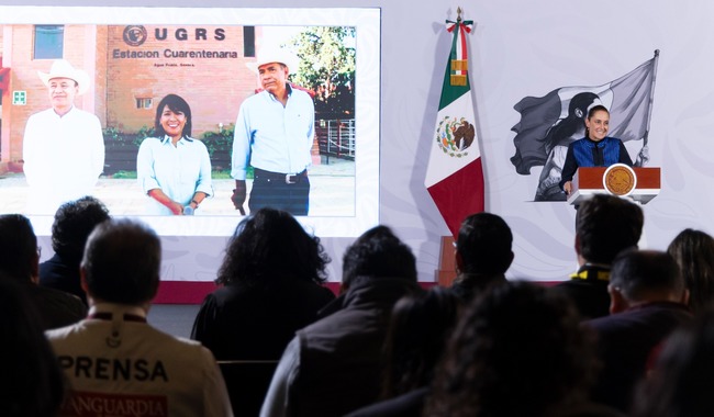 Sheinbaum anuncia reanudación de la exportación de ganado a Estados Unidos desde Sonora 1 post Presidenta CSP