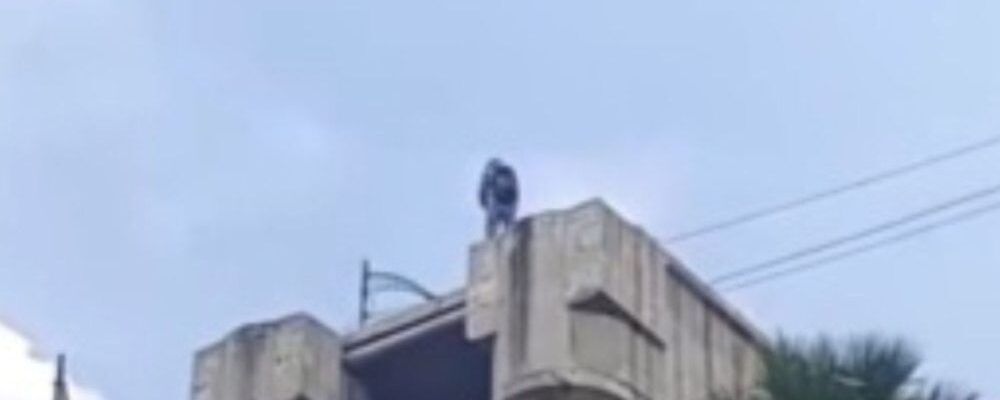 reportan muerte hombre lanzarse distribuidor vial jardin balbuena 13 1000x428