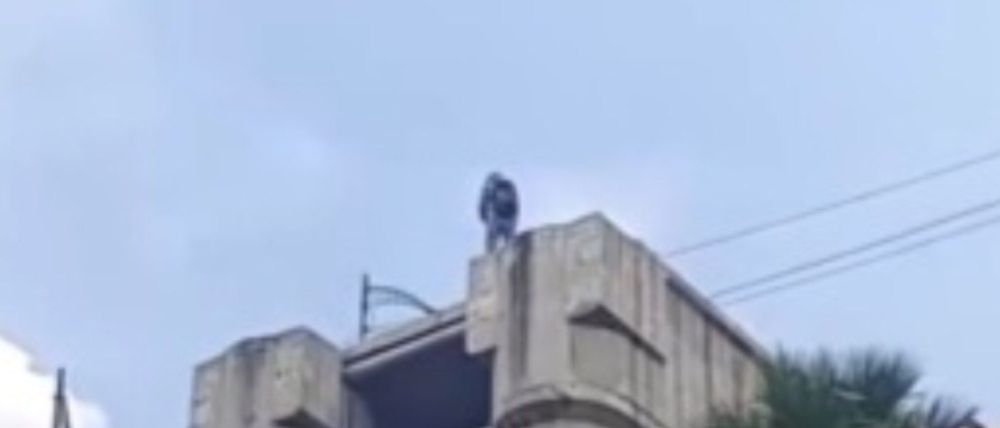 Reportan muerte de hombre tras lanzarse desde lo alto de un distribuidor vial en Jardín Balbuena 1 reportan muerte hombre lanzarse distribuidor vial jardin