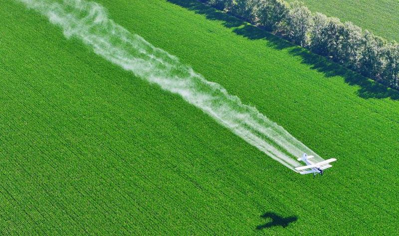 China busca fortalecer seguridad alimentaria en toda la cadena de suministro de cereales entre 2026 y 2030 1 238