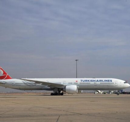 Principales aerolíneas turcas suspenden vuelos a Irán tras sanciones estadounidenses, informa medio 3 245