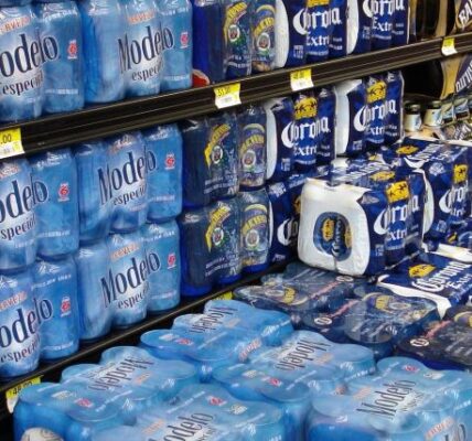 descarta morena ieps sopas instantaneas cervezas 13 1000x428