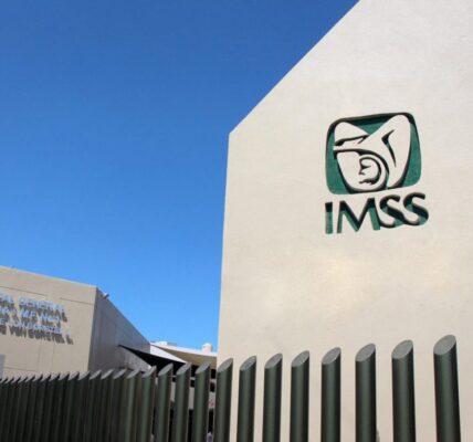 imss 1024x693 1