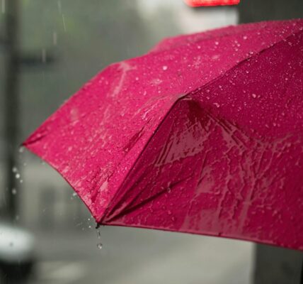 lluvias 1