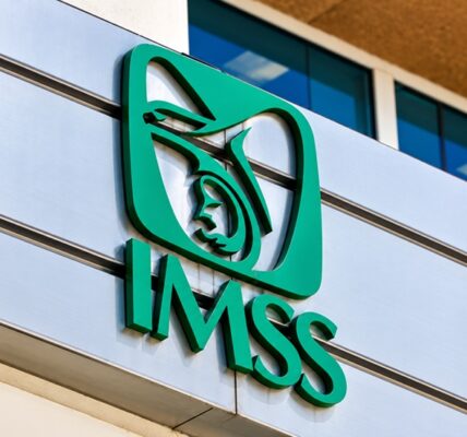 Incumplen reglas de origen en el IMSS 2 IMSS