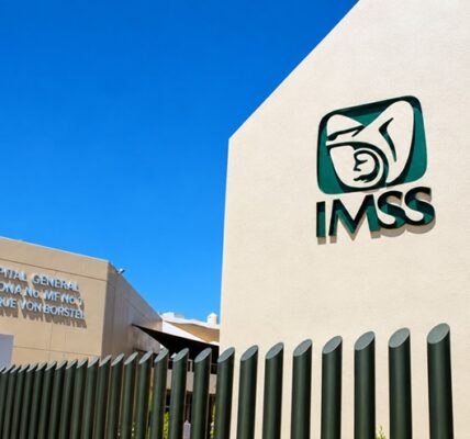 Irregularidades en equipos industriales adquiridos por el IMSS 3 IMSS2