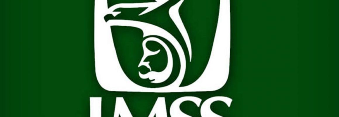 Contrataciones millonarias del IMSS adjudicadas con declaraciones falsas 2 imss logo