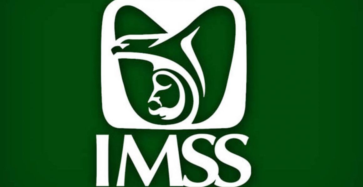 Contrataciones millonarias del IMSS adjudicadas con declaraciones falsas 1 imss logo