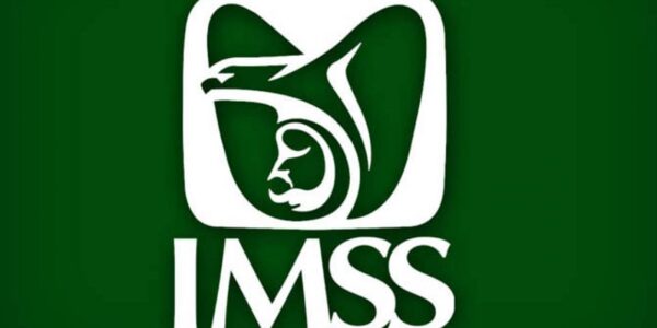 Contrataciones millonarias del IMSS adjudicadas con declaraciones falsas 12 imss logo